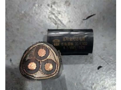 金光達(dá)電纜YJV22-3X70