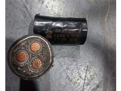 金光達(dá)電纜YJV22-3X120