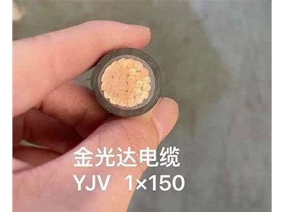 金光達(dá)電纜YJV-1X150
