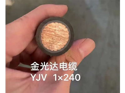 金光達電纜YJV-1X240