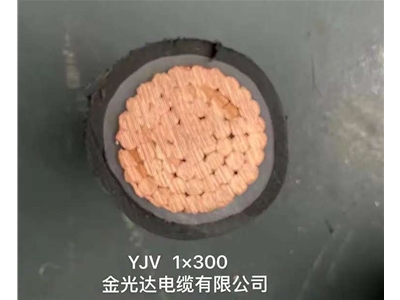 金光達(dá)電纜YJV-1X300
